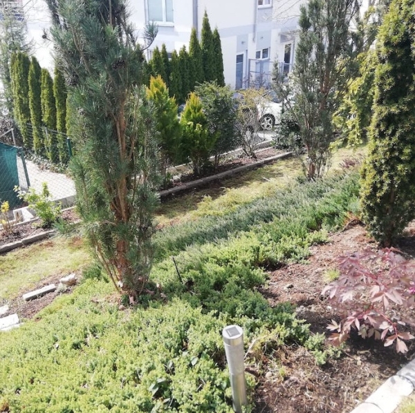 Úprava zahrady v Plzni